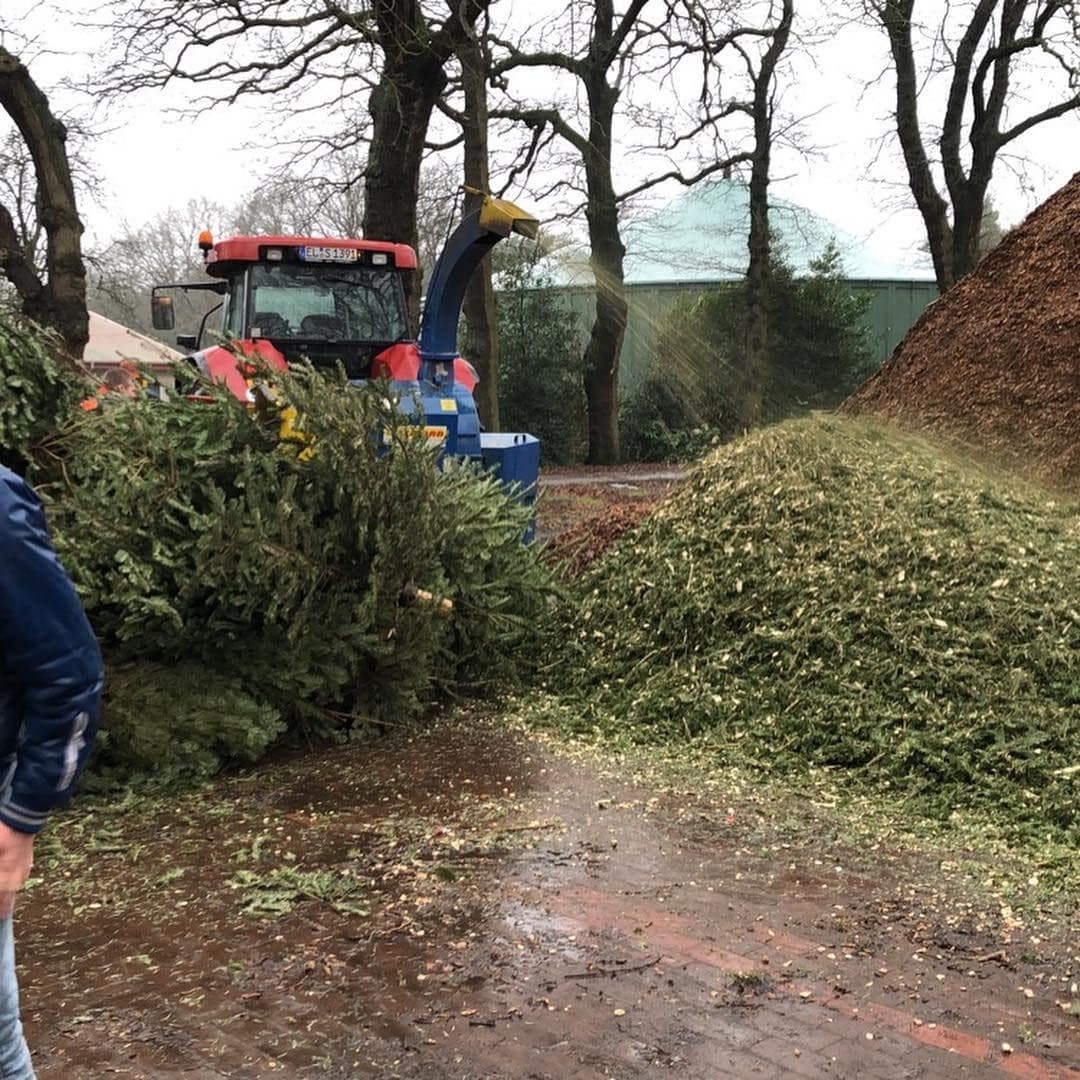Tannenbaumaktion der KjG Dalum